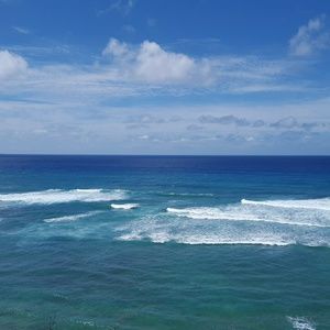 Meet your Posher, Junko